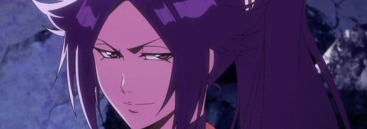Yoruichi Banner