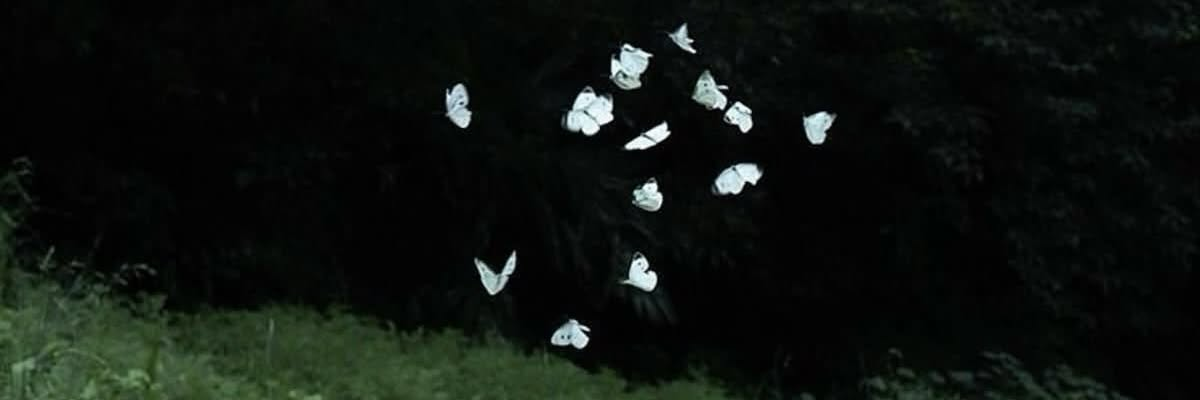 Discord Banners - Free custom profile banners for Discord