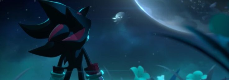 Shadow Banner