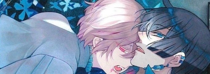 Vanitas Banner