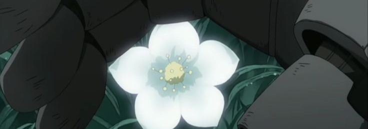 Fma Banner