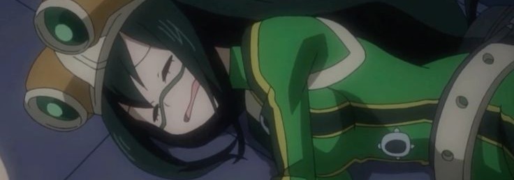 Froppy Banner