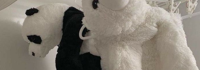 Panda Banner