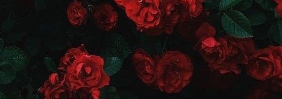Rose Banner