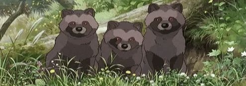 Raccoon Banner