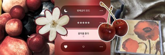 bloom.jpg Banner