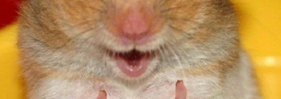 Good Banner