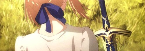 Saber Banner