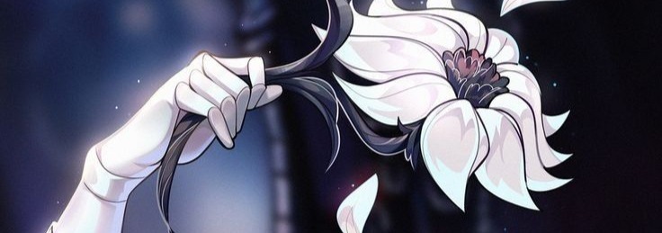 Hollow Knight