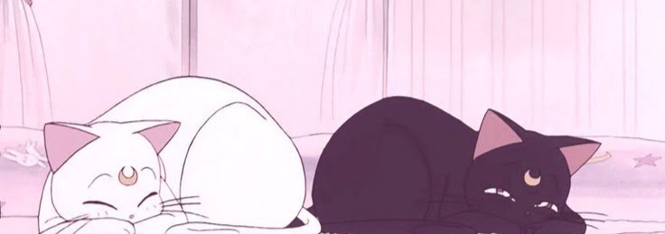 Sailor Moon Aesthetic