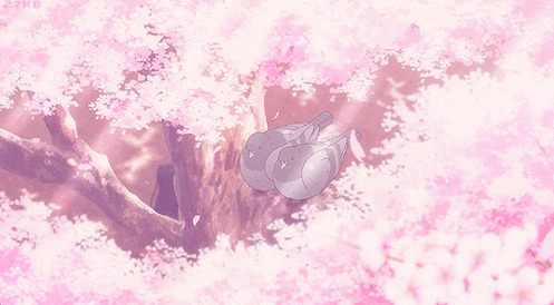 sakura Pink
