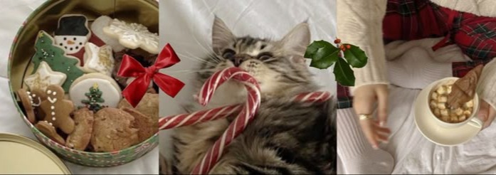 Christmas Cat