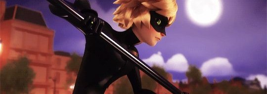 Chat Noir