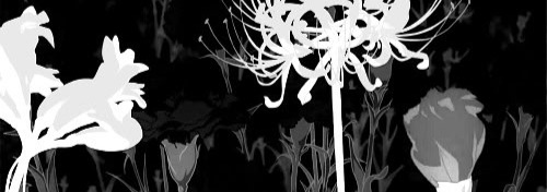 Black And White Aesthetic Banner