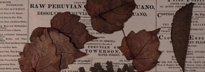 Dark Academia Aesthetic