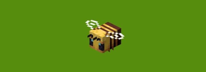 Tubbo Banner