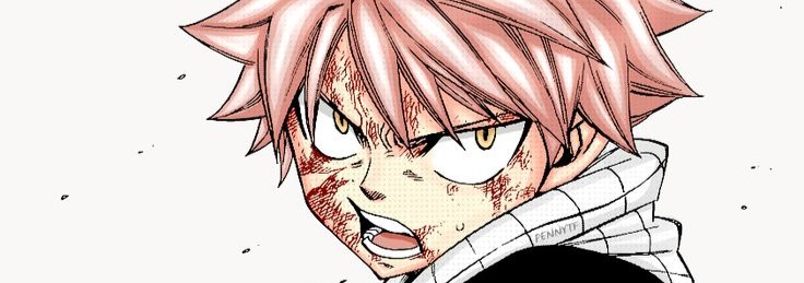 Natsu Banner