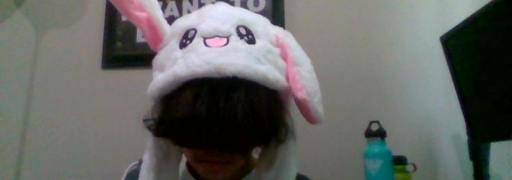 Bunny Hat