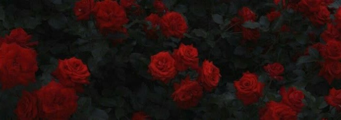 Rose Banner