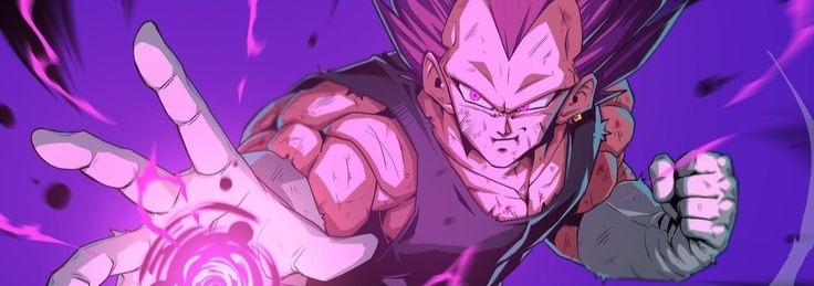 Vegeta Banner