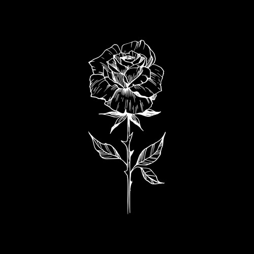 Dark Rose PFP
