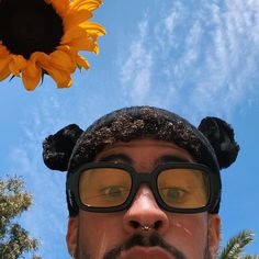 Bad Bunny Pfp