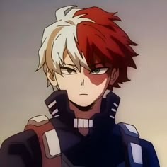 Todoroki User Icon