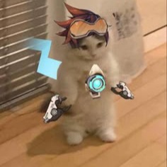Overwatch Cat