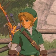 Link Pfp