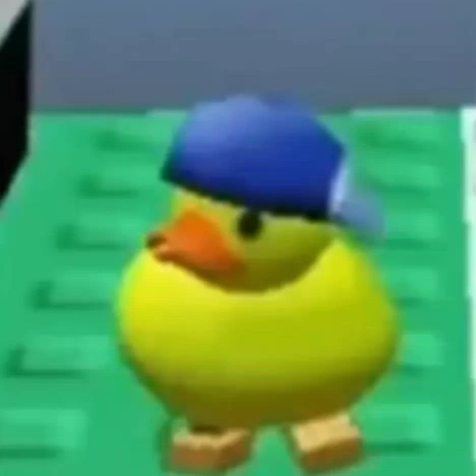 Duck Funny