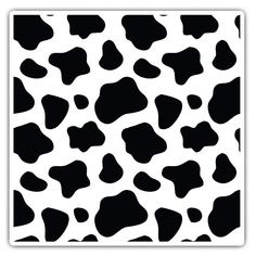 Black And White User Picture Pfp