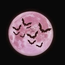 Monster High Aesthetic