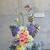 Flower Display Picture Pfp