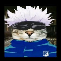 Geto Cat