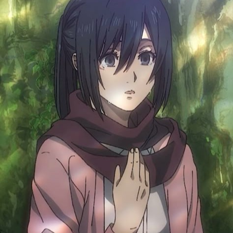 Mikasa