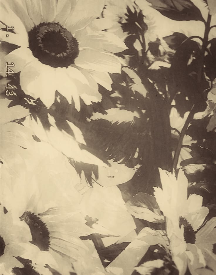 sepia vintage pfp