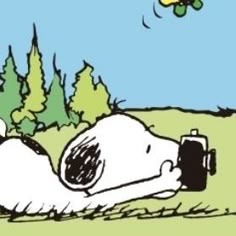 Snoopy Matching
