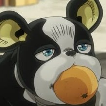 Iggy Jojo