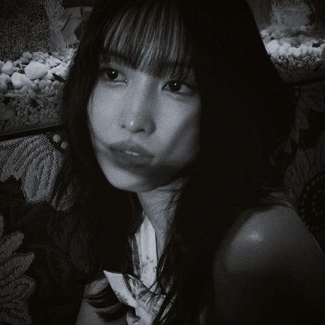 Momo Profile Icon Pfp