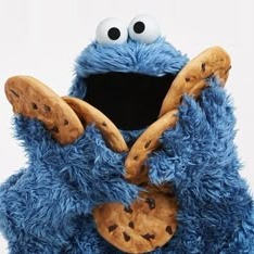 Cookie Monster