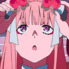 Zero Two