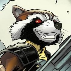 Rocket Raccoon Pfp