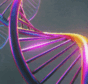 DNA Pfp