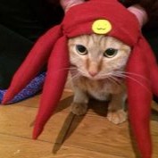 Meow Space Dandy