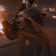 Rocket Raccoon Pfp