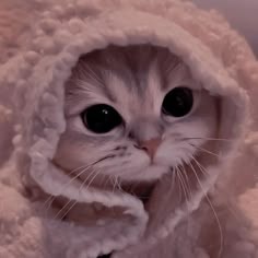 Adorable