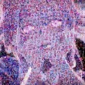 Future Diary User Icon