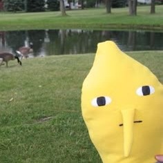 Earl Of Lemongrab Pfp