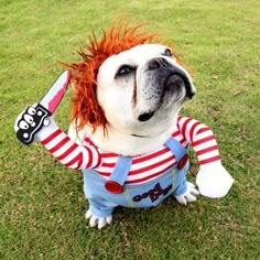 Dog