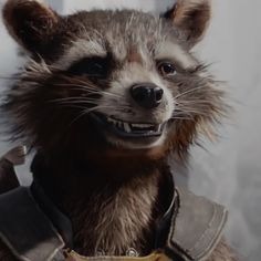 Rocket Raccoon Pfp